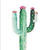 pricklycactus48